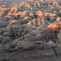 View Photo Gallery