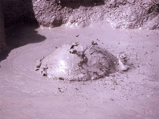 Mud Volcano