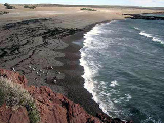 Punta Tombo