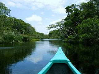 Kosi Bay