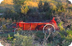 Homestead Wagon