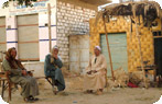Bahariya Oasis Photo Gallery