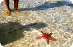 Bazaruto Archipelago Photo Gallery