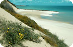 Benguerra Island Photo Gallery