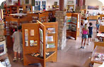 Canyon View Plaza