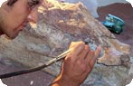 Paleontologist, Centro Paleontol�gico Lago Barreales