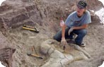 Paleontologist, Lago Barreales Paleontology Center