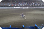 Cody Rodeo