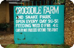 Crocodile Farm and Snake Park Photo Gallery