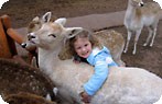 Grand Canyon Deer Farm Photo Gallery