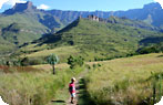 Drakensberg Mountains