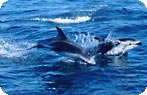 Ecocentro Photo Gallery