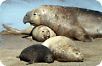 Ecocentro Photo Gallery