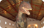 Giganotosaurus Carolinii