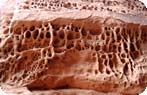 Fiery Furnace Photo Gallery