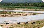 Freestylin� Safari at the Imfolozi Game Reserve Photo Gallery