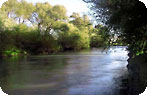Chubut River