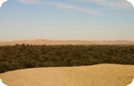Siwa Oasis, Egypt