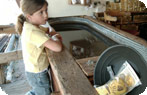 Goldfield Ghost Town Photo Gallery