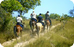 Horseback Safari