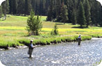 Fly Fishing, Yellowstone National Park
