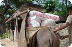 Lamu Photo Gallery