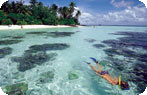 Snorkeling Maldives