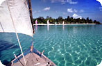 Maldivian Dhow