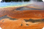 Thermophile fringed Grand Prismatic Spring