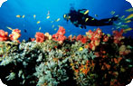 Mozambique Photo Gallery