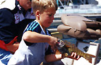 Northwoods Photo Gallery