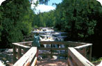 Northwoods Photo Gallery