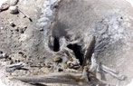 Fumarole at Green Dragon Spring