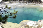 Emerald Spring