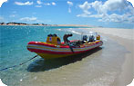 Odyssea Dive Photo Gallery