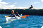 Kayakers Peninsula Valdes