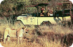 Pilanesberg Game Reserve Photo Gallery