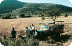 Pilanesberg Game Reserve Photo Gallery