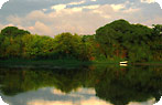 Costanera Sur
