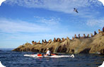 Punta Loma and Cerro Avanzado Photo Gallery