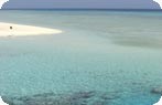 Qulan, Red Sea Coast