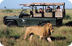 South Africa Photo Gallery