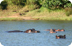 Greater St. Lucia Wetland Park Photo Gallery