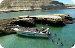Snorkeling, Peninsula Valdes