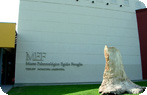 Trelew Paleontology Museum