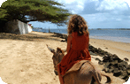 Lamu, the pearl of the Kenyan Coast Photo Gallery