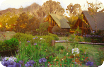 Tsitsikamma Lodge Photo Gallery