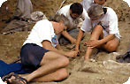 Digging for Fossils