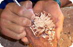 Fossils