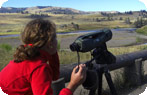 Child with Scope, Yellowstone National Park